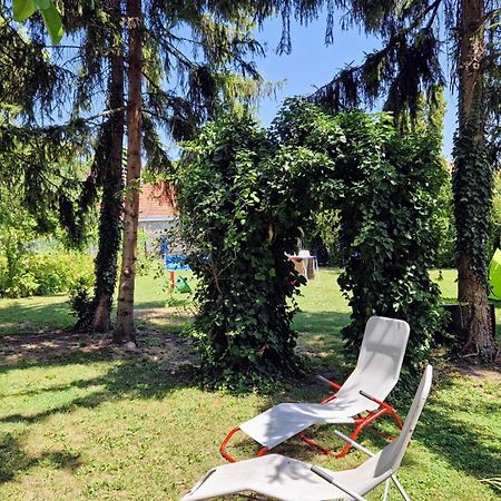 Romantic Villa - Pápa Dış mekan fotoğraf
