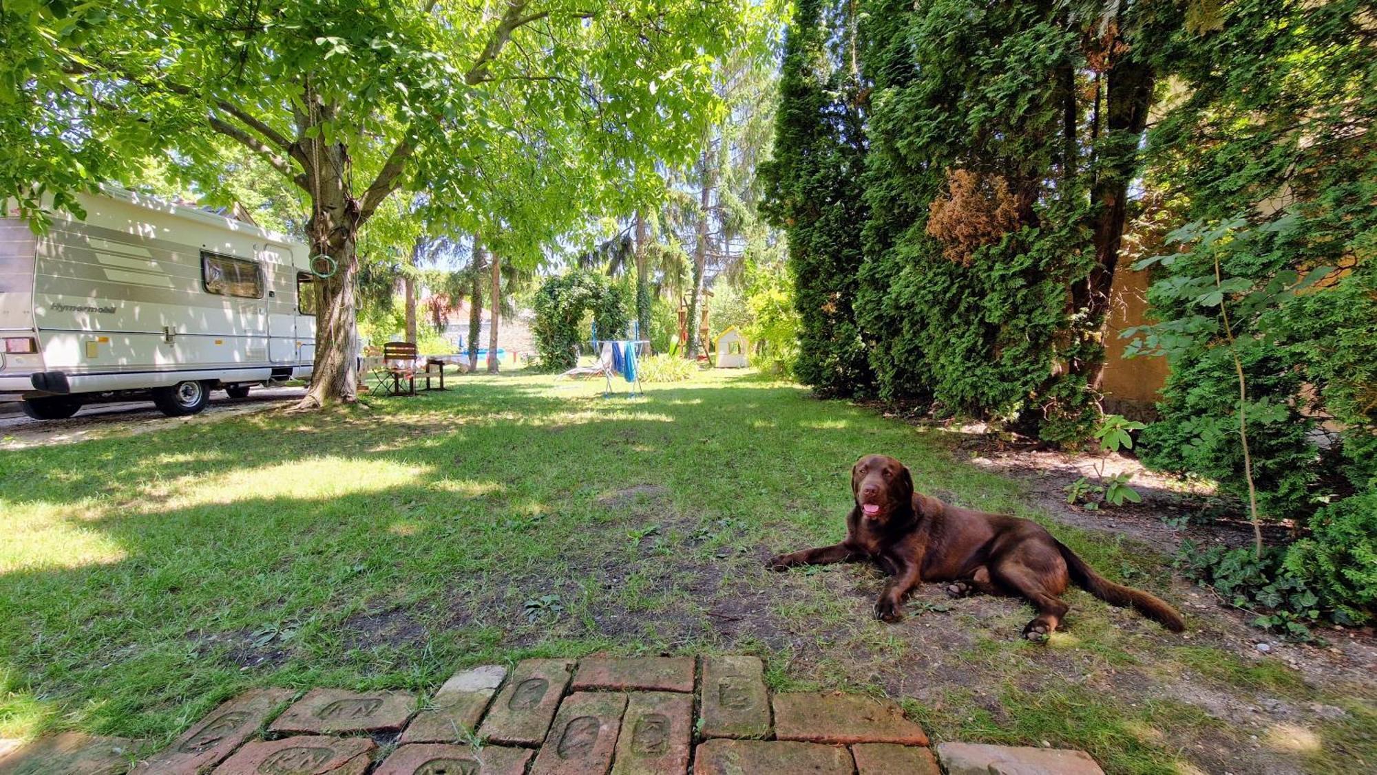Romantic Villa - Pápa Dış mekan fotoğraf